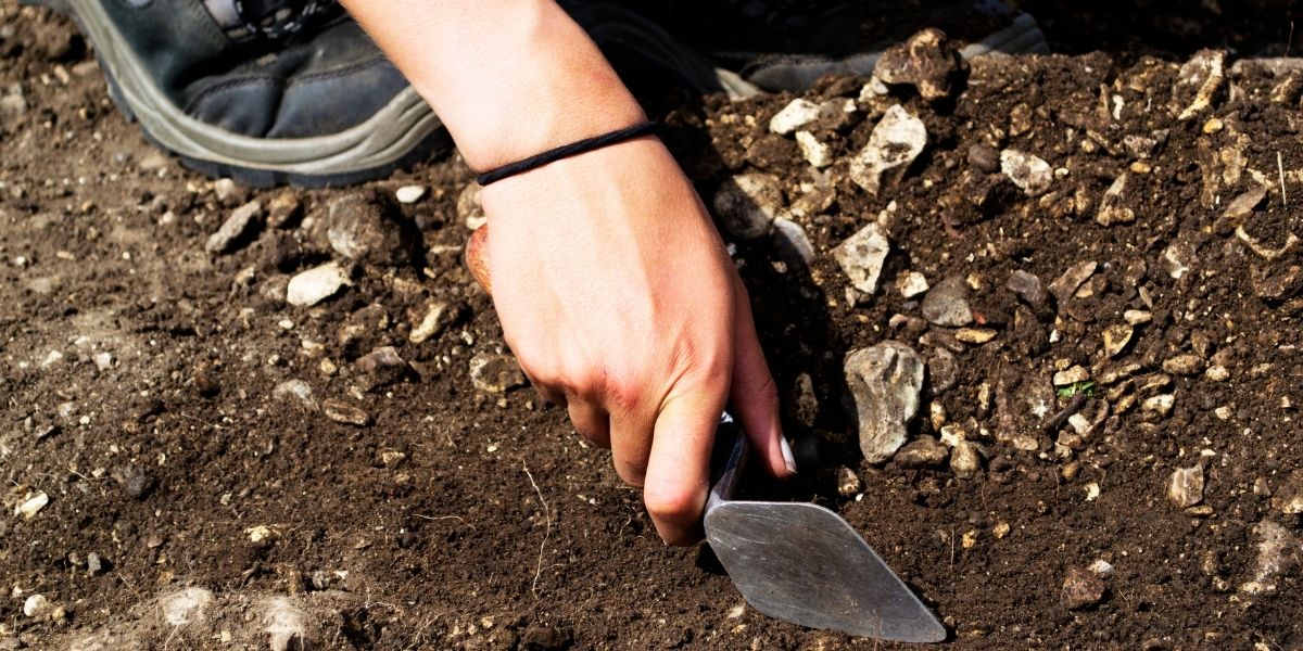 Archéologie amateur : les techniques de fouille à connaître